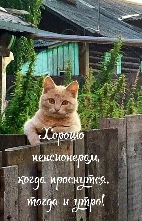 У каждого мужчины обязательно нет-нет, да и появится мысль... Весёлые,прикольные и забавные фотки и картинки,А так же анекдоты и приятное общение