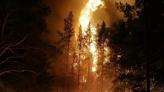 Без леса и шашлыков. Что нельзя делать во время особого пожароопасного режима?