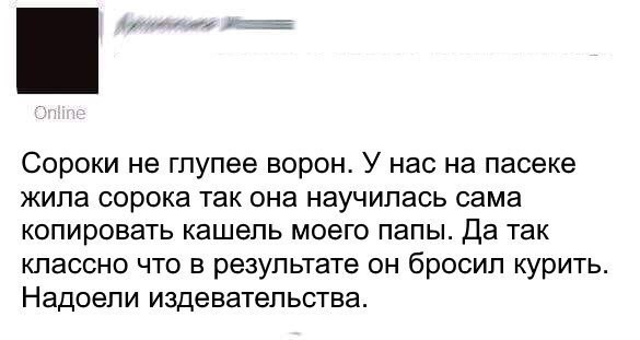 Смешные комментарии и высказывания из социальных сетей