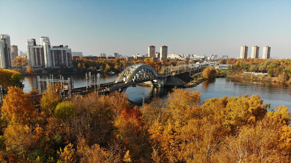 Синоптики рассказали про неожиданное тепло в начале ноября — цветущие ромашки и комары - свежие новости на Toplenta по теме Татьяна