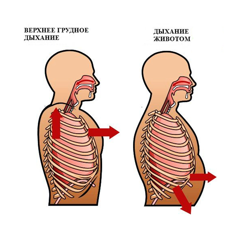 Прямое нижнее дыхание: источник энергии, красоты и здоровья диафрагма,дыхание,здоровье
