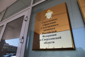 Глава ведомства поручил  представить доклад о ходе проверки по факту совершения противоправных действий мужчиной в Свердловской области
