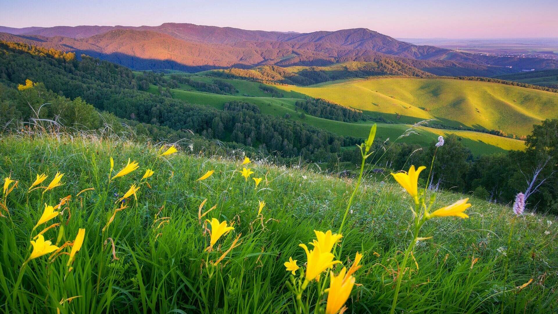 Разнообразие природы Алтайского Алтайского края