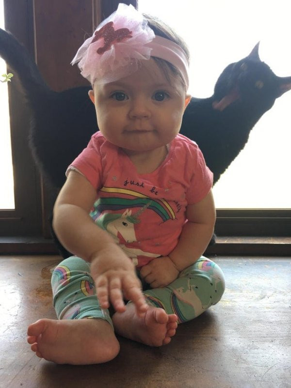 Прикольные мемы для тех, кто любит кошек: «Странный шум внизу…» 