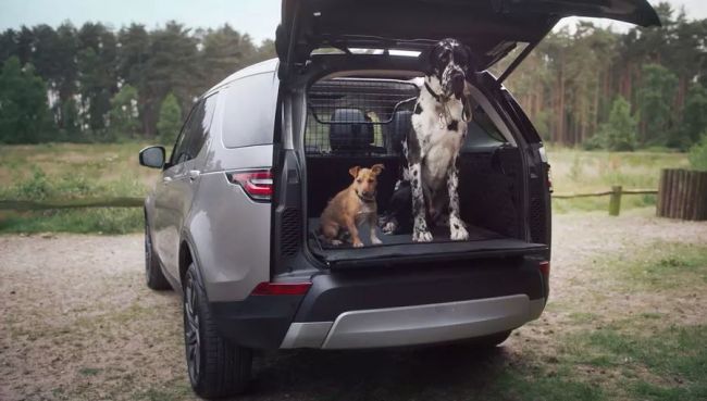 Внедорожники Land Rover будут оснащать душем для собак 