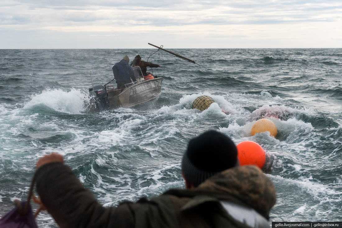 Охота на китов запрещена во всем мире, но им можно... Охота на китов запрещена во всем мире, но им можно... киты,охота на китов,путешествия,Россия,фоторепортаж,Чукотка
