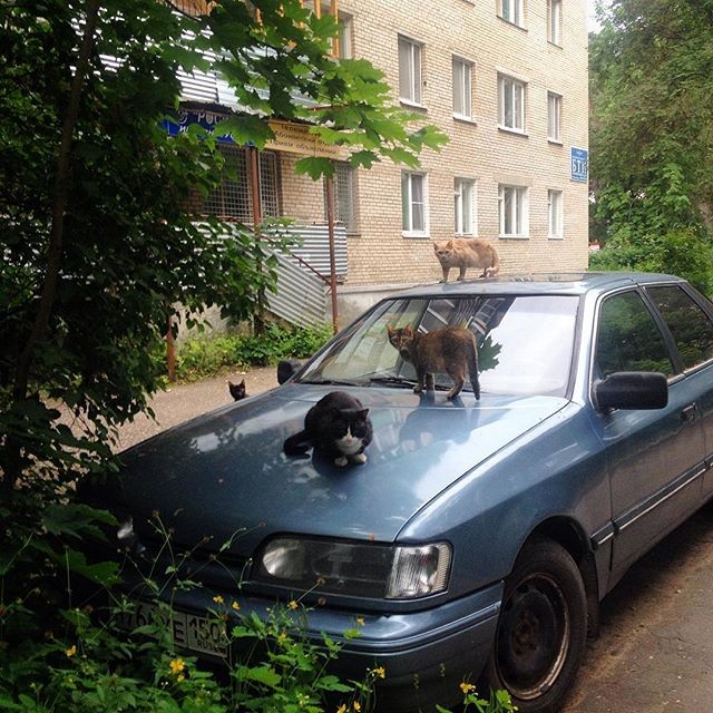 Еле успел, чуть не угнали! банда, бандюки, грабеж, грабители, двор, прикол