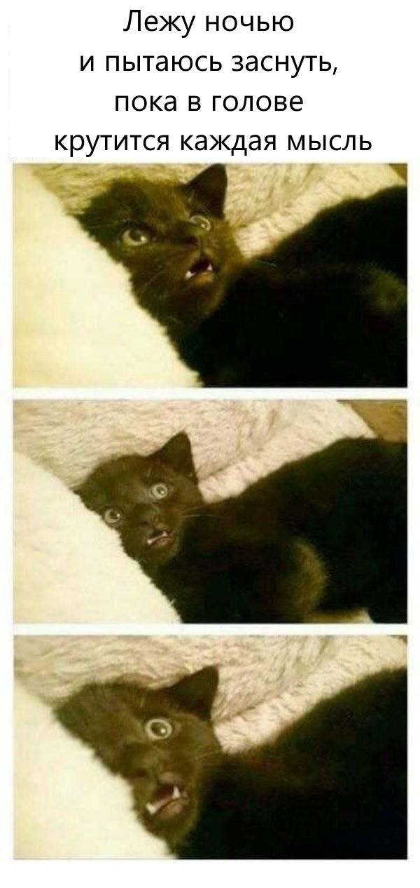 Прикольные мемы для тех, кто любит кошек: «Странный шум внизу…» 