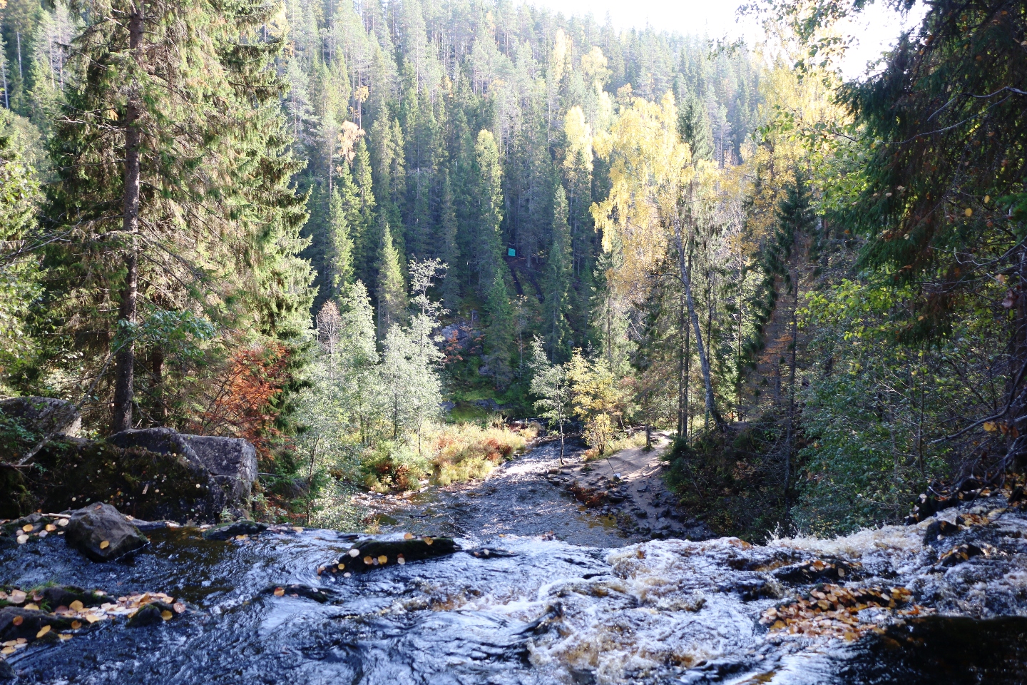 Разноцветная Карелия 