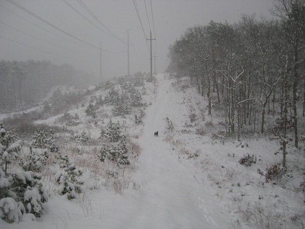 Деревенская Америка Деревенская Америка заграница,путешествие,страны,туризм
