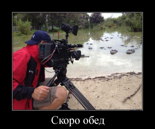 Смотри, какой я симпатичный с этим выключенным светом...)) Смотри, какой я симпатичный с этим выключенным светом...)) веселые картинки