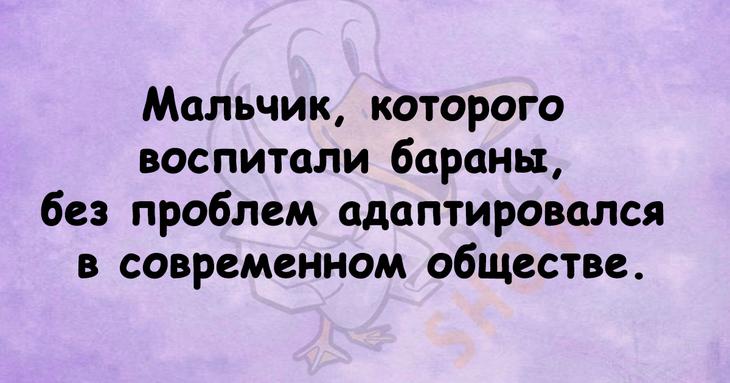 Шутки, которые поднимут настроение именно вам 