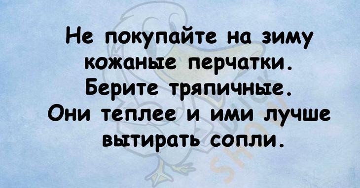 Прекрасное начало летнего дня – подборка веселых анекдотов 