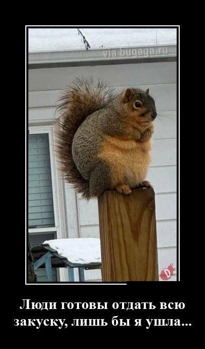 Демотиваторы для любителей черного юмора Демотиваторы для любителей черного юмора