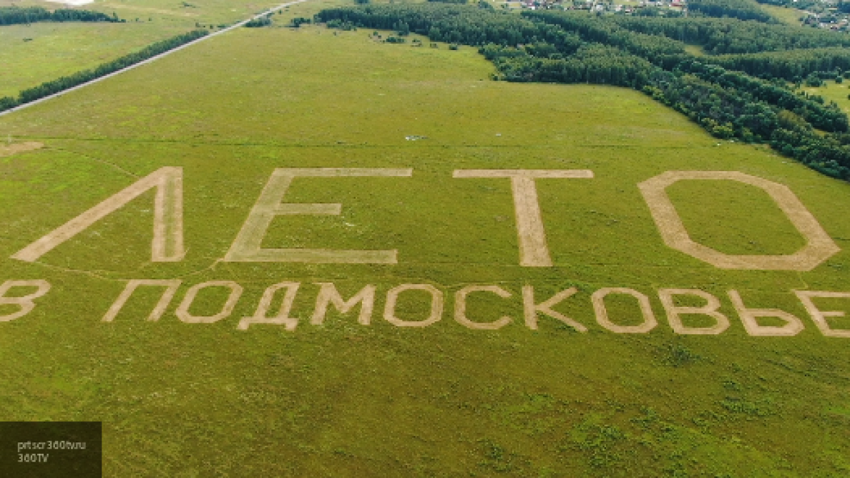 82 гектара. Поле для надписи. Лето в Подмосковье логотип. Подмосковье надпись. Лето в Подмосковье надпись.