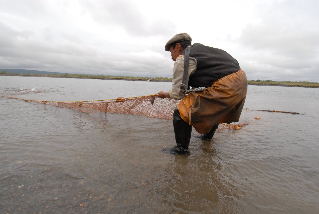 Плотва за полмиллиона: что грозит браконьерам из Архангельска