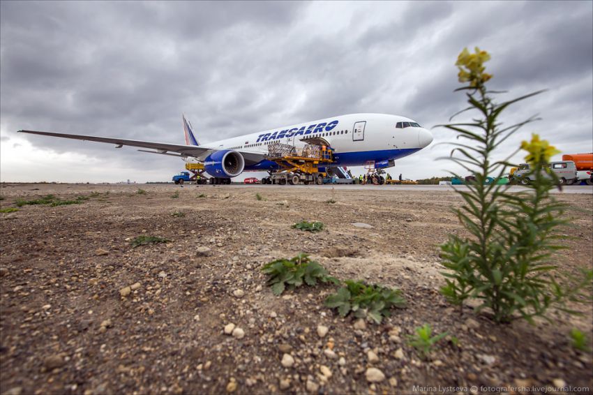 Обслуживание самолета на перроне Boeing 777, авиация, петропавловск-камчатский, елизово