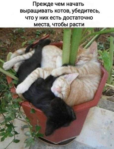 В нынешней жизни так: если нет смайликов — значит разговор серьёзный 