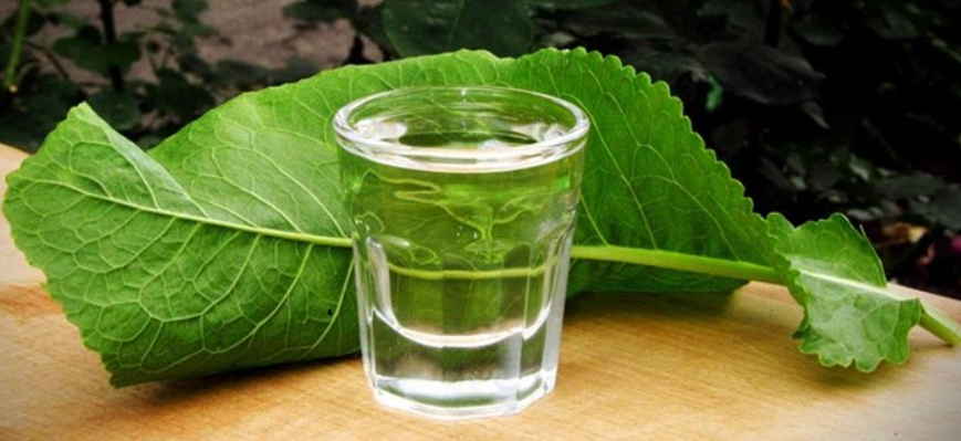 Водка и листья хрена излечили от цирроза: старинный  деревенский рецепт. И еще 14 действенных способов лечения страшной болезни