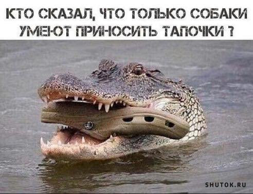 ОТПУСК/КАНИКУЛЫ ОТПУСК/КАНИКУЛЫ