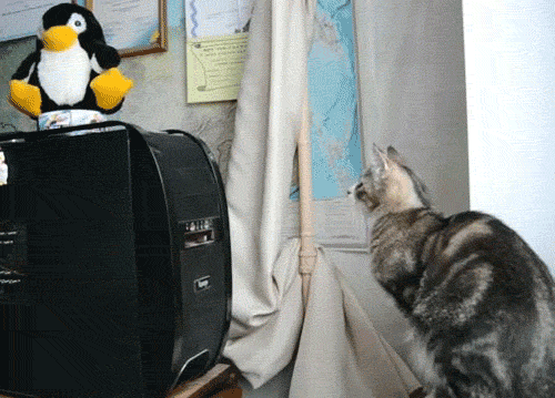 Подборка позитивных и веселых гифок Подборка позитивных и веселых гифок