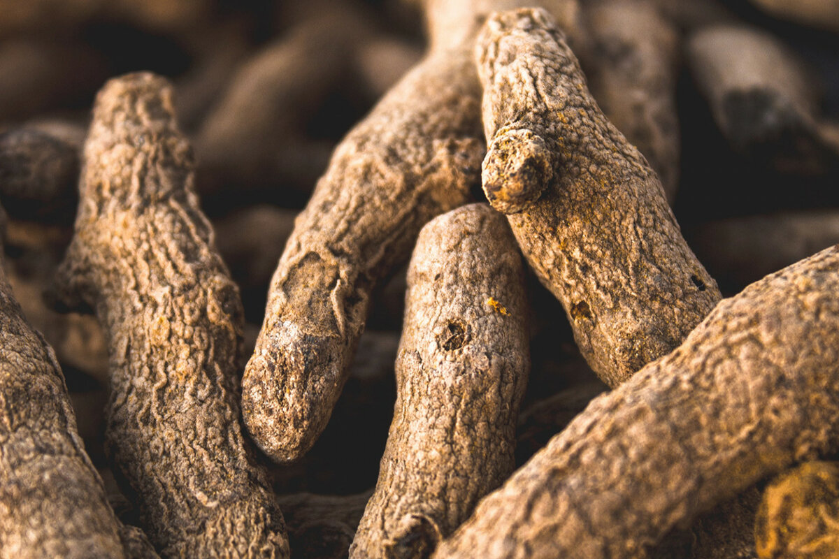 Корни куркумы, из которых делают порошок © ANDY HYD/UNSPLASH