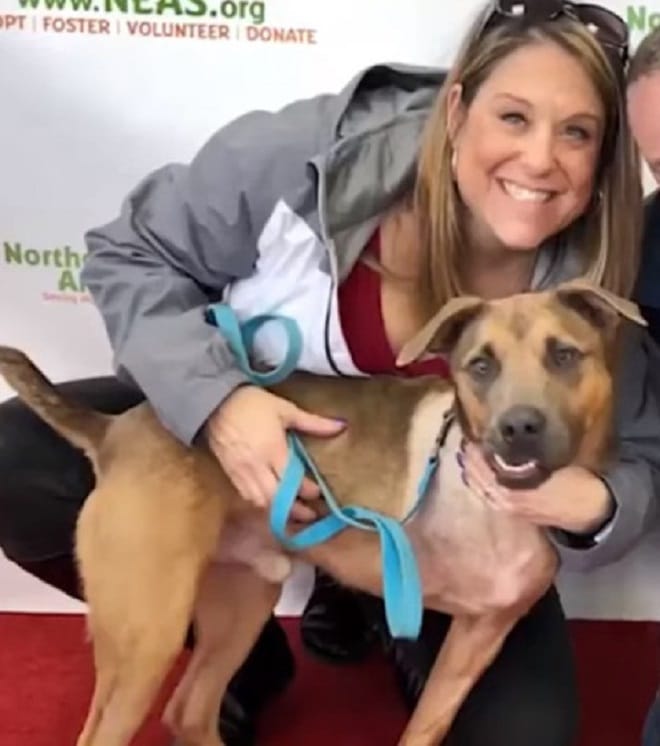 Собака и женшина