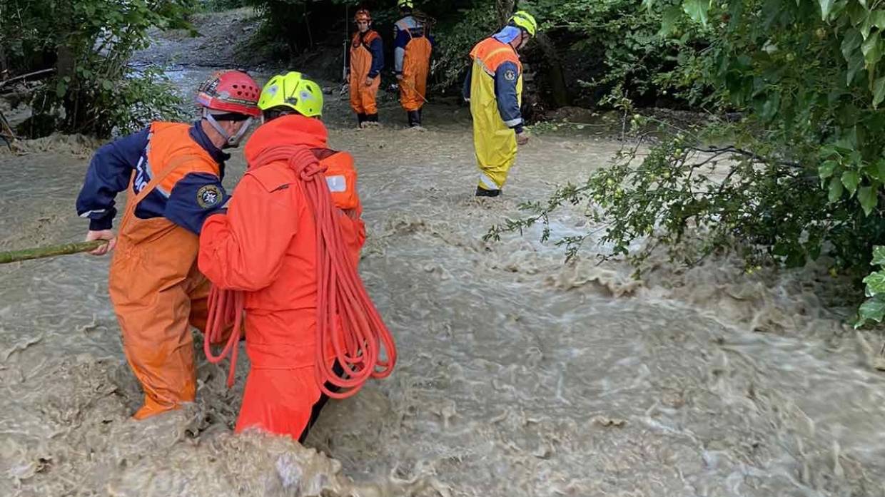 Главные новости дня: 13 ноября