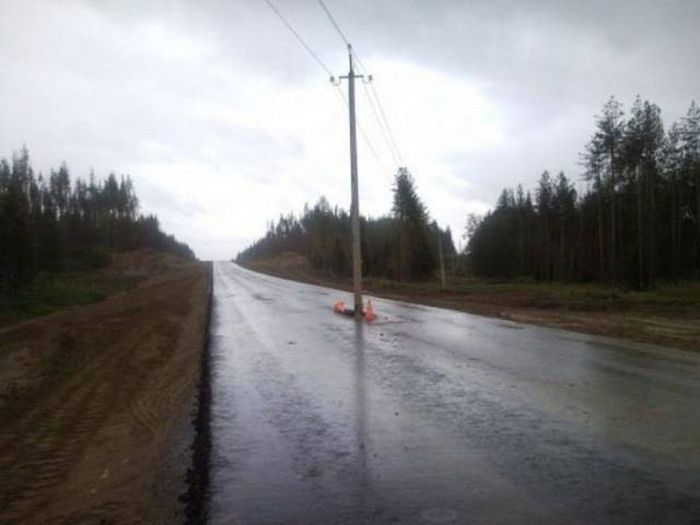 Подборка забавных картинок и фотографий для настроения (12 фото)