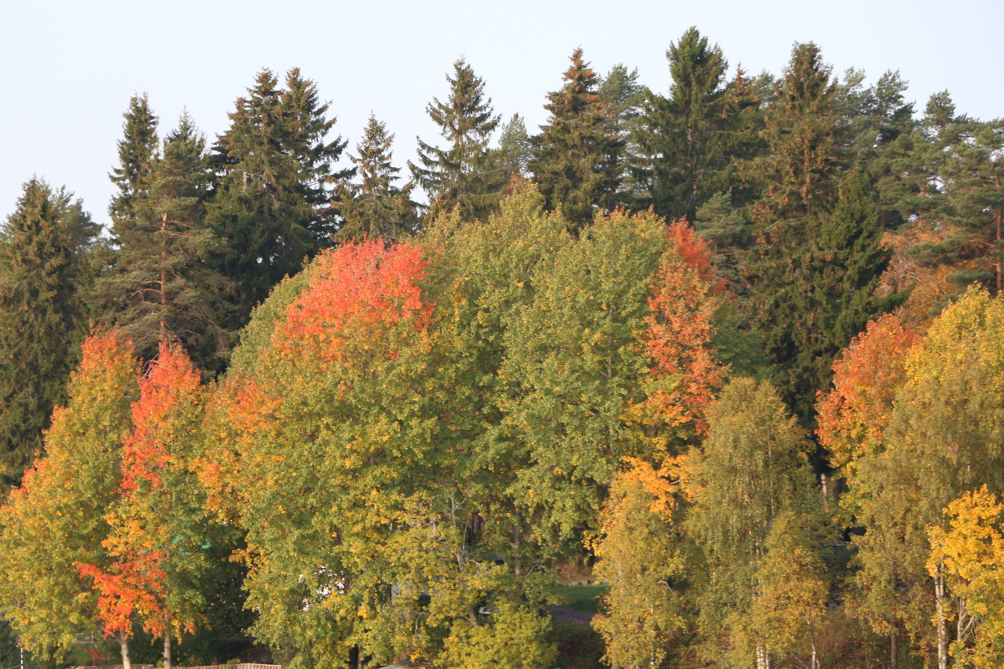 Разноцветная Карелия 