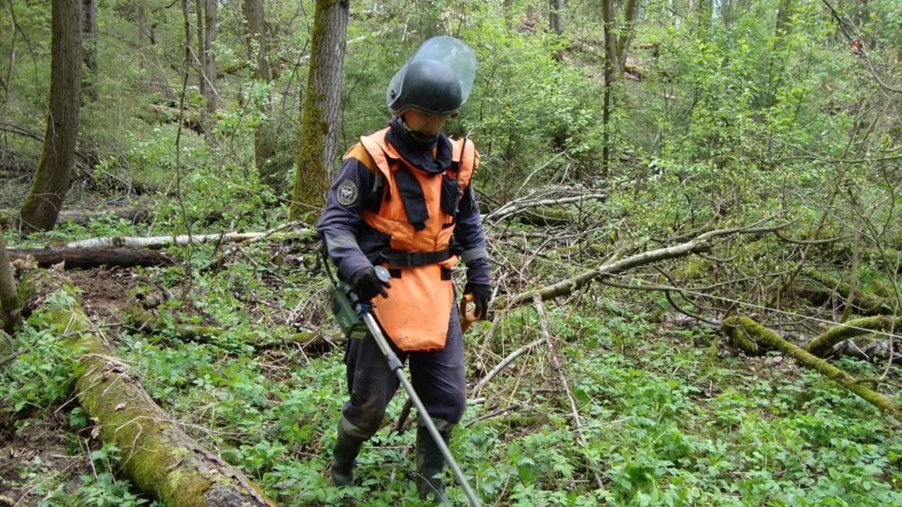 Поиски пропавшего 13-летнего мальчика продолжаются в Приморье