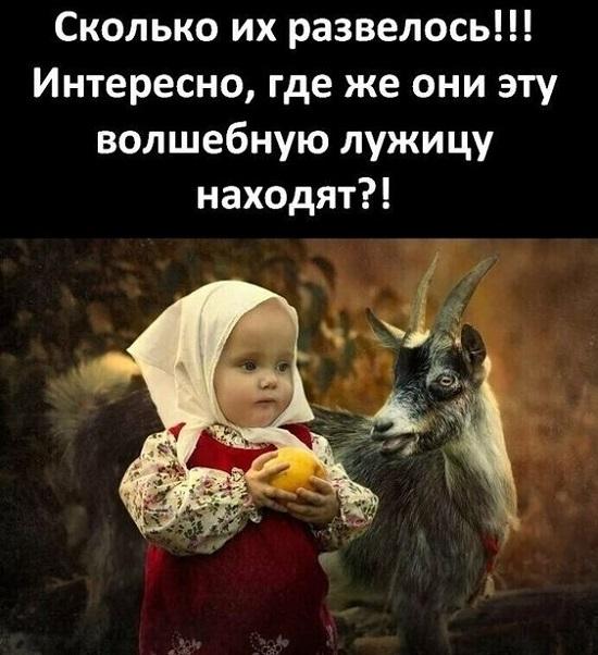 Подборка свежих шуток 