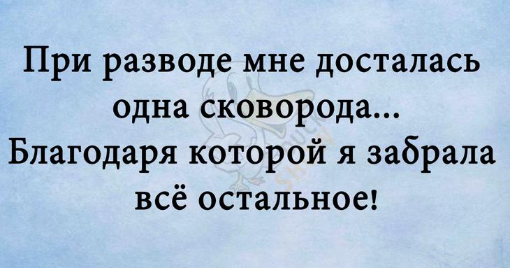 Прекрасное начало летнего дня – подборка веселых анекдотов 