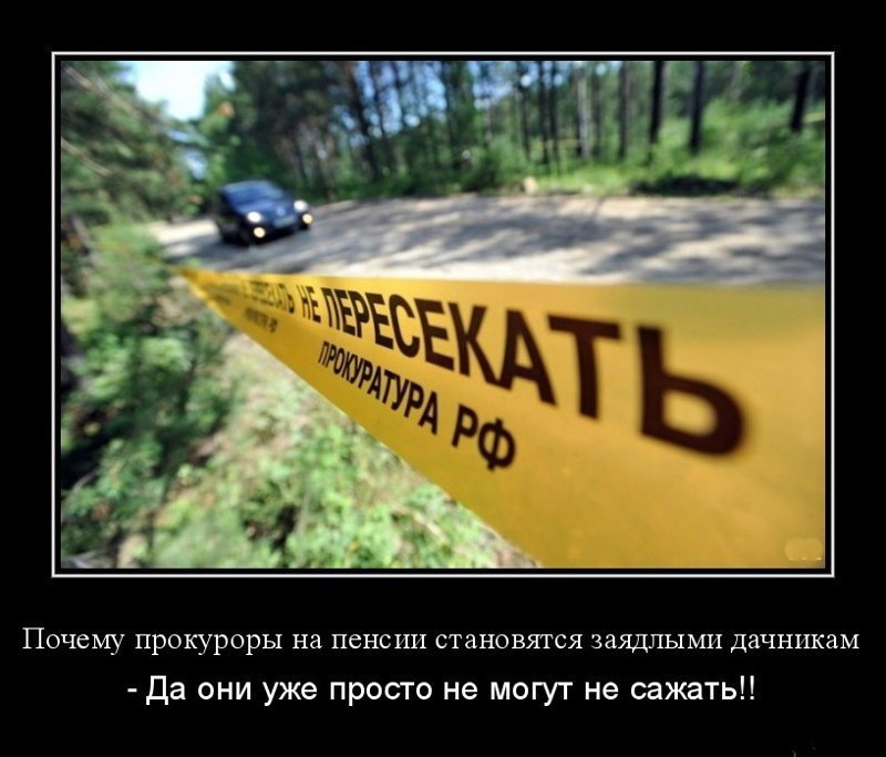 Февраля парню, приколы про прокуроров картинки
