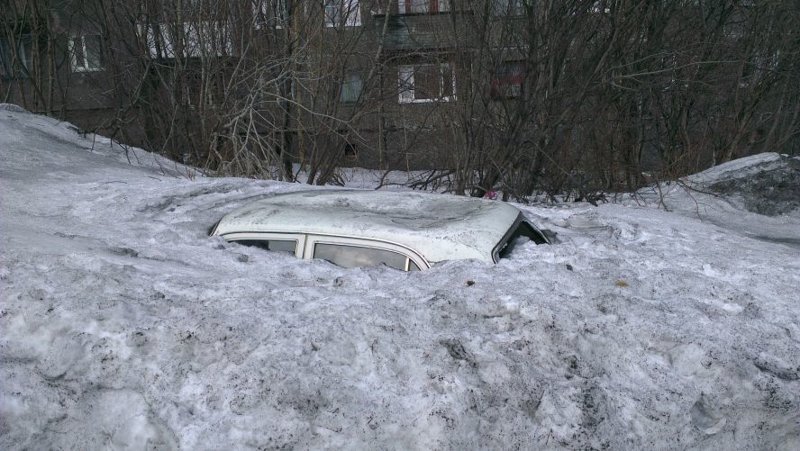 Весна пришла - подснежники вскрываются весна, вскрывает, интересное, подснежник, факты