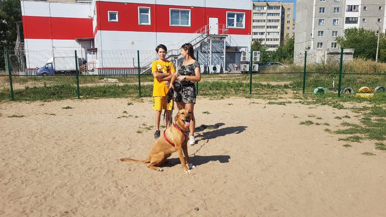 В Твери состоялось официальное открытие Первой в нашем городе муниципальной площадки для выгула собак