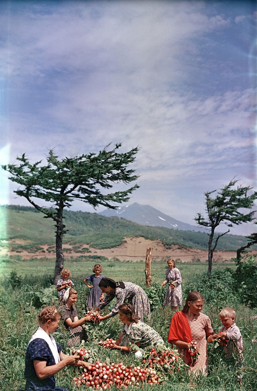 Советские лица в фотографиях Семена Фридлянда ностальгия, лица, ссср, люди