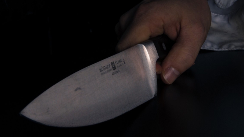 Сожители-рецидивисты изрезали друг друга в Коломне