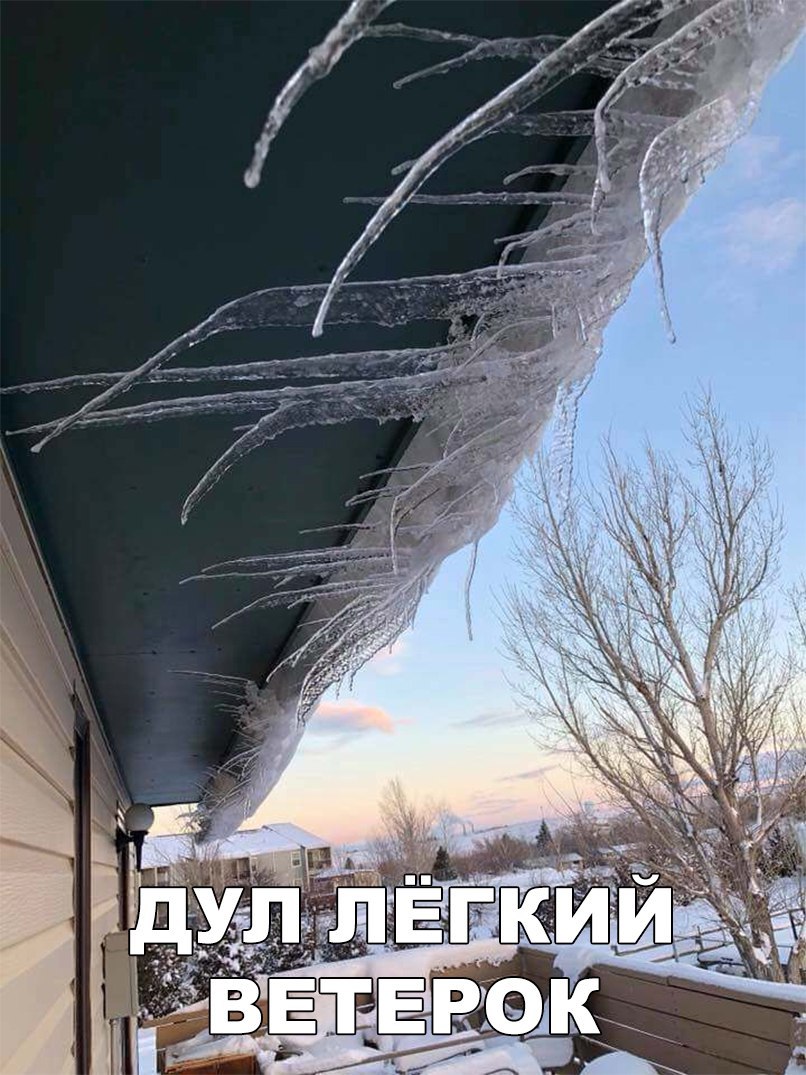 Веселые картинки и фото приколы с надписью из жизни Веселые картинки и фото приколы с надписью из жизни