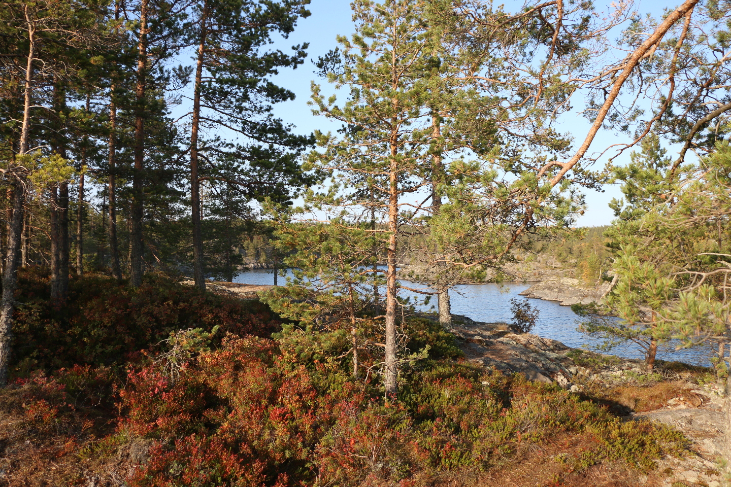 Разноцветная Карелия 