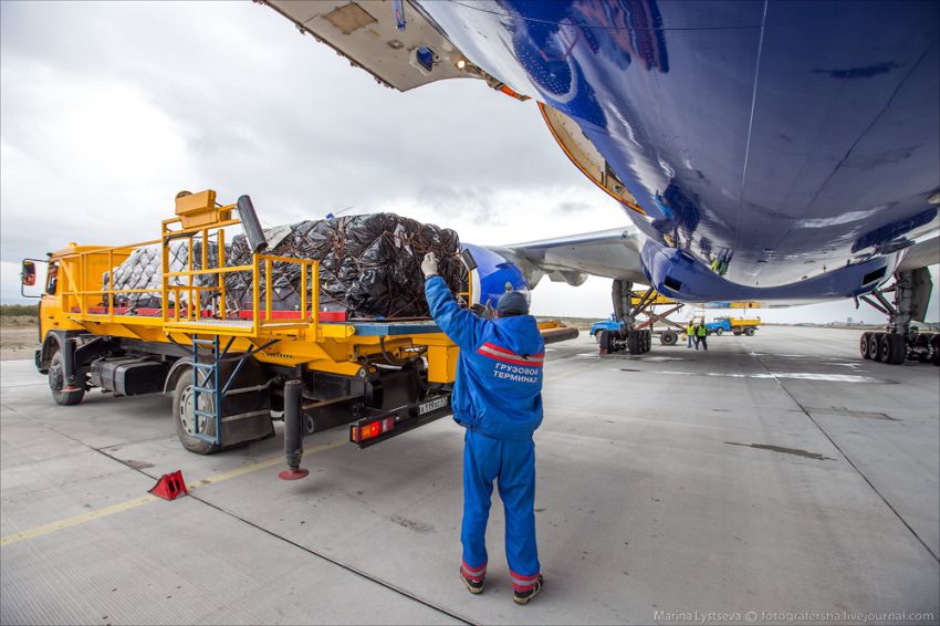 Обслуживание самолета на перроне Boeing 777, авиация, петропавловск-камчатский, елизово