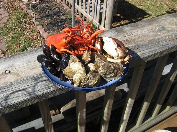 Деревенская Америка Деревенская Америка заграница,путешествие,страны,туризм