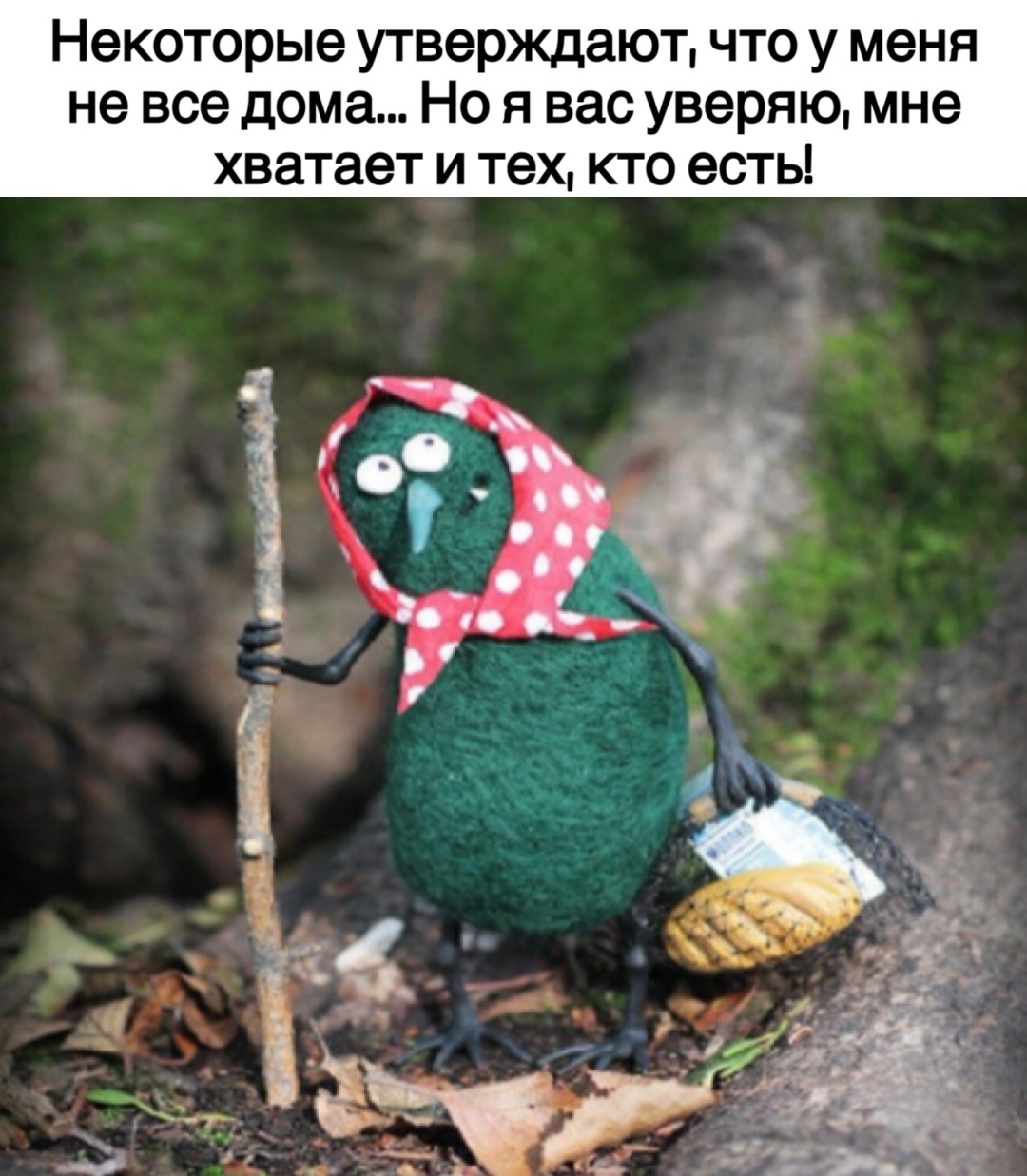 Юмор из интернета 685 Юмор из интернета 685 позитив,смех,улыбки,юмор