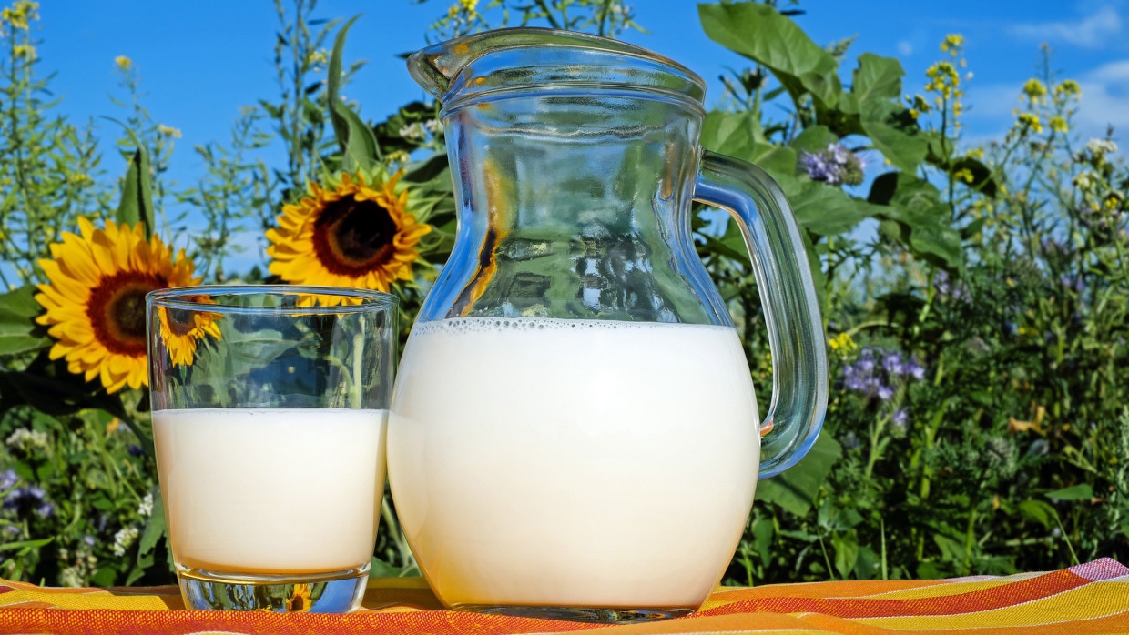 Диетолог объяснил, как правильно выбрать молоко при непереносимости