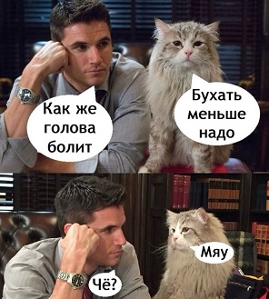 Дневник котэ (один день из жизни) Получилось, можно, мести, куртку, спать,  Утро Эта, разложила, инстинкт, точка, когтеточки…Отдохнуть, решила, Паззлы, Собирать, возможность, рожей, угламВечер Эта, зараза, забыла, гадство, пойму