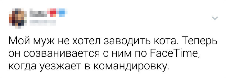 16 мужчин, готовых на все ради питомцев, которых они «никогда не хотели» когда, который, чтобы, животных, заводить, не хотел, Теперь, посмотреть, Также, невозможно, в доме, больше, «Папа, питомца, потому, ко мне, с этим“, „Пожалуйста, уедьте, в отпуск