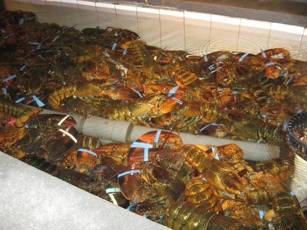 Деревенская Америка Деревенская Америка заграница,путешествие,страны,туризм