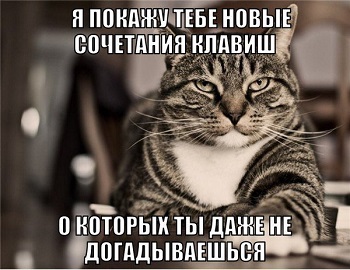 Дневник котэ (один день из жизни) Получилось, можно, мести, куртку, спать,  Утро Эта, разложила, инстинкт, точка, когтеточки…Отдохнуть, решила, Паззлы, Собирать, возможность, рожей, угламВечер Эта, зараза, забыла, гадство, пойму