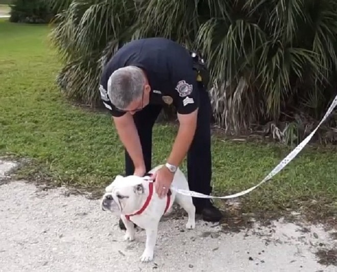 Полисмен и собака