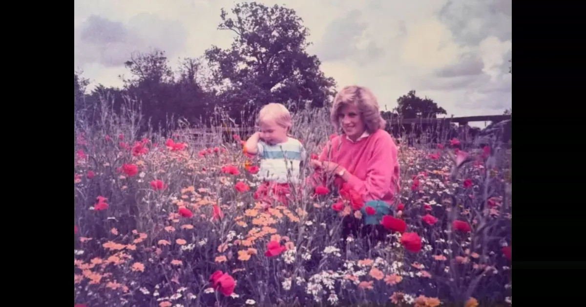 Принц Уильям поделился ранее не опубликованным фото принцессы Дианы на фоне "войны" с братом Гарри